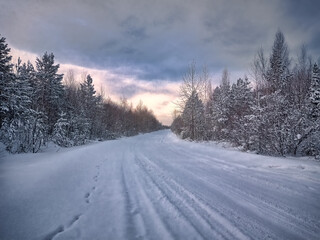 Obraz premium Winter landscape sunset in the forest with snowy field in the foreground.
