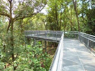 Walk in the Jungle 2