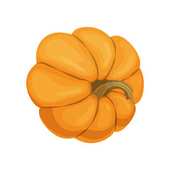 Cartoon pumpkin icon. Orange and yellow autumn pumpkin. Large gourd vegetable. Farm harvest vegetable fresh and tasty