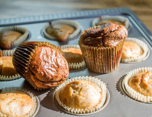 small vanilla and chocolate muffins illuminated by the morning light ready for breakfast