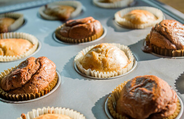 small vanilla and chocolate muffins illuminated by the morning light ready for breakfast