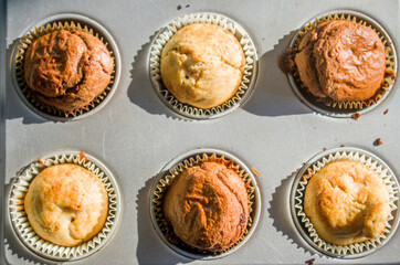 small vanilla and chocolate muffins illuminated by the morning light ready for breakfast