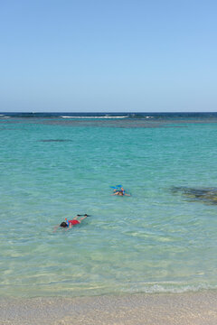 Snorkeling The Reef At Loblolly Bay, Anegada, British Virgin Islands