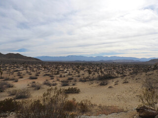Fototapeta na wymiar Scenic Mojave desert with the San Gabriel Mountains in the background, in California.