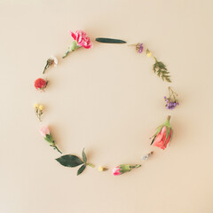 Spring flowers placed in a circle on a pastel background. Romantic colorful flowers, roses, green leaves Romantic concept.  Minimal flat lay concept with copy space.