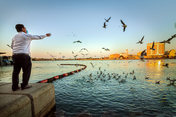 Naklejka premium Beautiful shot of seagull birds on the blue water at Dubai Creek, United Arab Emirates.