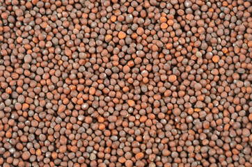 Brassica nigra black mustard seeds the background. Photo close up, from above .