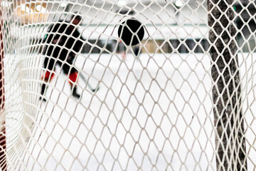 Puck hitting the back of the net