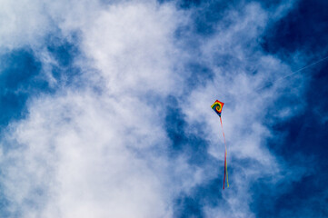 kite in the sky