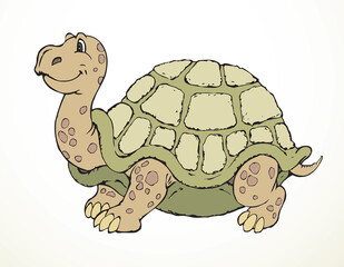 The big turtle. Vector drawing