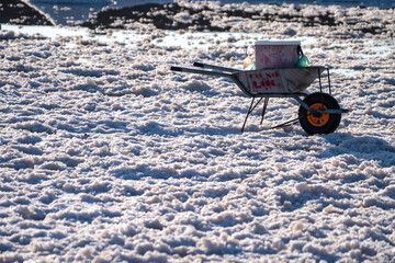 cart in snow