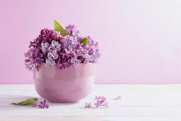 blooming lilac on a purple background