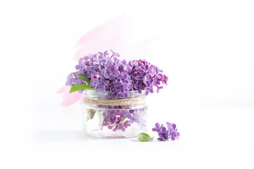 blooming lilac on a white background