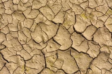 Background of heat cracked clay soil.