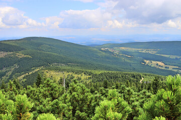 Fototapeta na wymiar Panorama of the Karkonosze in the summer. Juicy green mountain vegetation. Trees and mountain pine. Clouds over the mountains 
