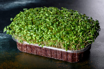 Box with fresh sprouts of micro radish greens for adding healthy food to dishes