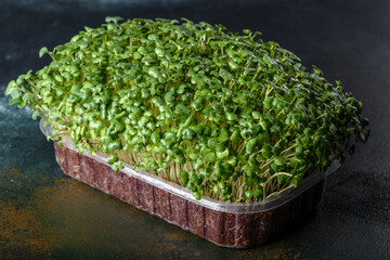 Box with fresh sprouts of micro radish greens for adding healthy food to dishes