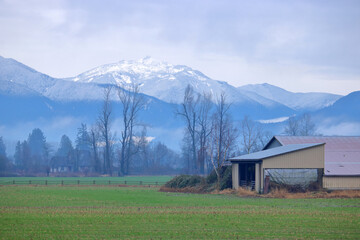 Early morning mist surrounds a rural winter scene with snow capped mountain range and farm buildings. 