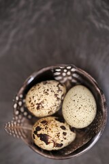 Quail eggs  in  a black cup on a black slate background.Farm products concept. Organic natural quail eggs.High quality protein source.Super food. Diet food