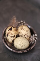 Obraz premium Quail eggs and feathers in a black ceramic cup on a black slate background.Farm products. Organic natural quail eggs.High quality protein source.Super food. 