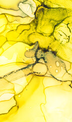 Alcohol Ink Art. Liquid Elegant Print.  Mix Brush