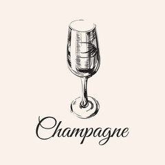 Champagne Glass Hand Drawing Vector Illustration Bubbles. Alcoholic Drink.