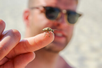 mały robaczek na palcu plażowicza