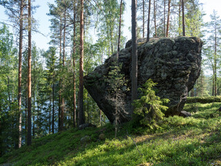 Glacial erratic rock in boreal forest.