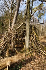 Ein kleines Tipi im Wald