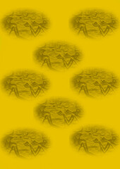 Egyptian hieroglyphs