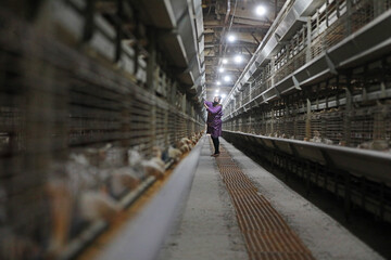 The workers are loading feed in a processing plant.