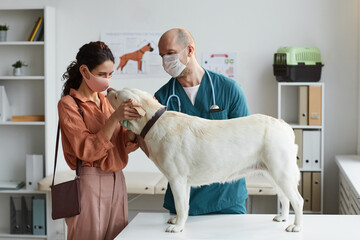 Side view at white dog standing at examination table at vet clinic with young female doctor...