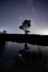 Reflection of tree and night sky in water