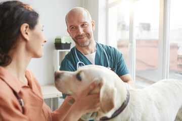 Waist up portrait of mature veterinarian smiling at young woman while examining white dog, copy...