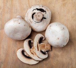 champignons