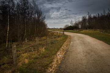 walk around national forest in england, city moira ,hicks lodge