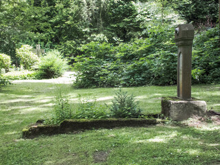 Ostfriedhof Dortmund, unkempt grave