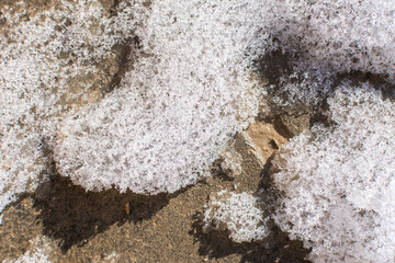 Texture of melting snow on paving slabs close - up view from above. The concept of the arrival of...