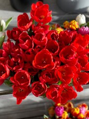 bouquet of red tulipe