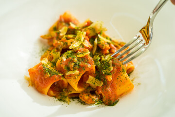 Tomato pasta with parmesan, basil and laurel oak close-up fork hand