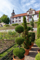 otted tree with three levels in the park of Wilhelmsburg castle in Schmalkalden