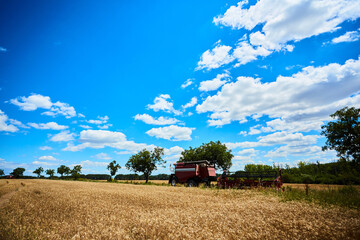 combine harvester in a field