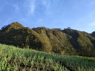 Overview of Mount Bromo, Indonesia - April 2017