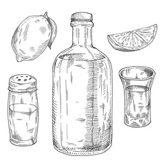 Glass and bottle of tequila. Salt shaker and lime. Hand drawn sketch illustration.