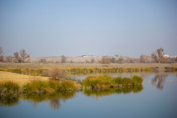 marshland in california