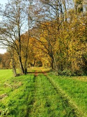 Fall in Burgundy's countryside, France - November 2017