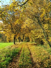 Fall in Burgundy's countryside, France - November 2017