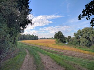 Fototapeta na wymiar Summer in Burgundy's countryside, France - October 2016