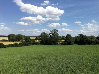 Summer in Burgundy's countryside, France - July 2019