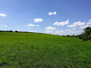 Summer in Burgundy's countryside, France - July 2019